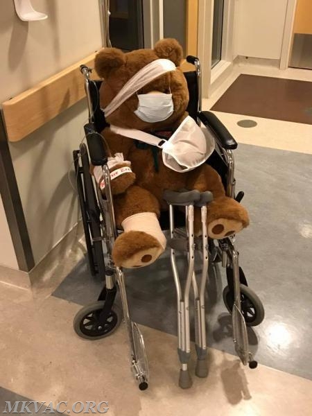 Today,4/1/17, MKVAC had a great time supporting NWH with their teddy bear clinic!